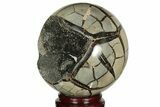 Polished Septarian Geode Sphere - Madagascar #215086-1